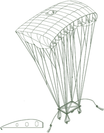 vital parachute sports